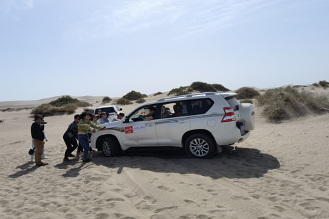 XPJ·(澳门区)公司官方网站