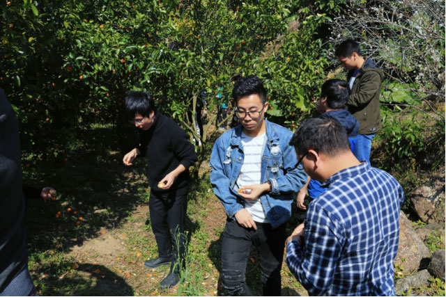 XPJ·(澳门区)公司官方网站